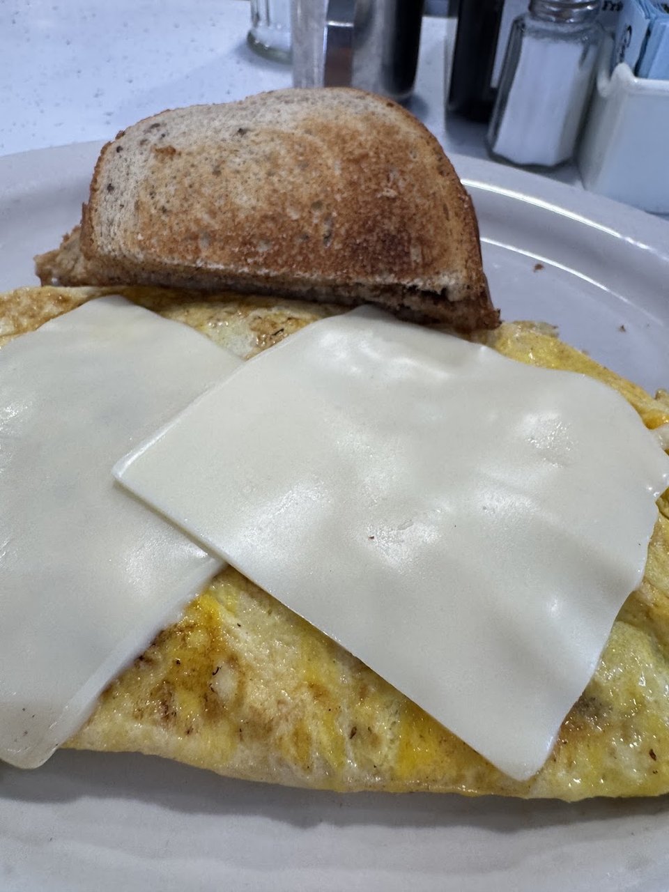 Mushroom Cheese Omelet